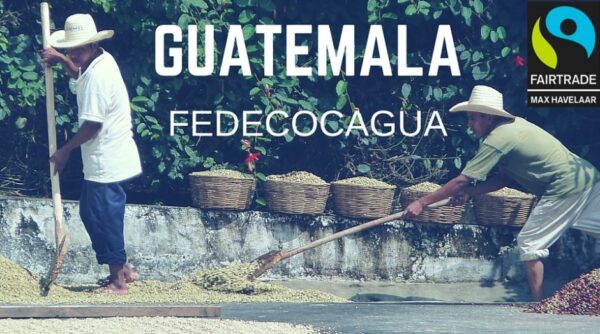 CoffeeCup Guatemala Fedecocagua 1 kg